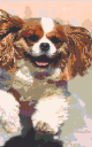 After - Pets deserve a special place in our hearts