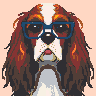 Spaniel in Glasses