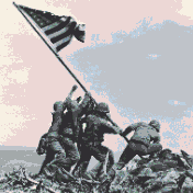 U.S. Marines planting